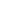 INspection_damage